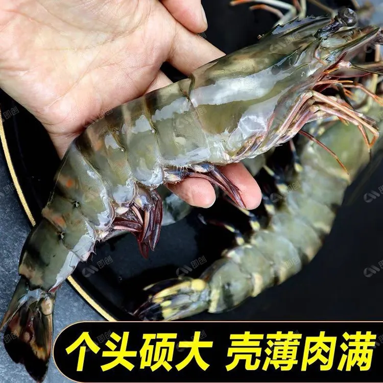 净重3斤加1斤黑虎虾2125大规格活虾速冻老虎虾金刚虾4斤1斤9-12只