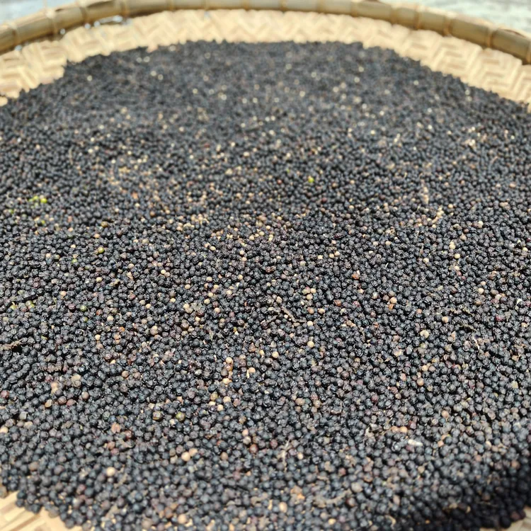 正宗海南精选特级黑胡椒颗粒家用去腥增香提鲜入味送研磨器