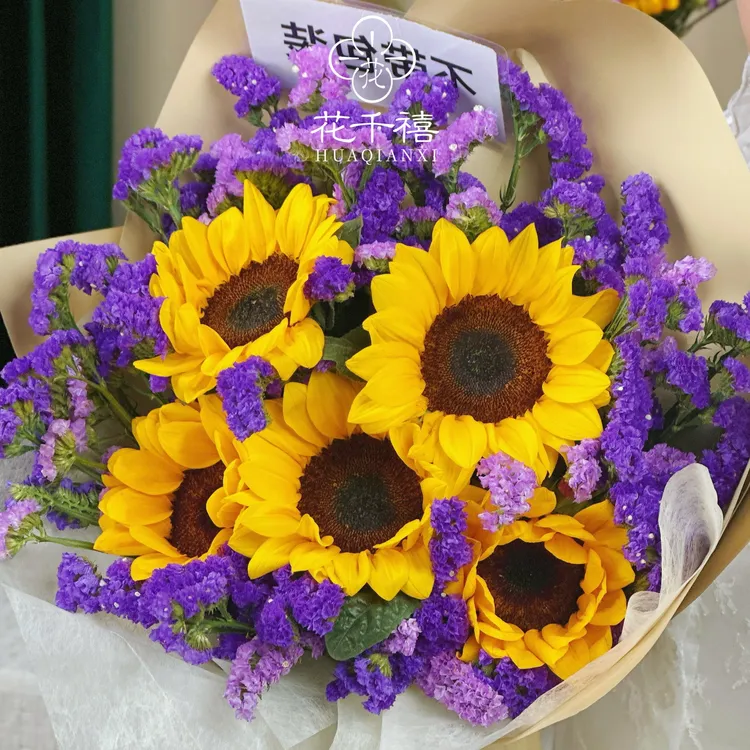 【黑色向日葵+紫色勿忘我】新鲜花花束云南鲜基地花直发家用鲜花
