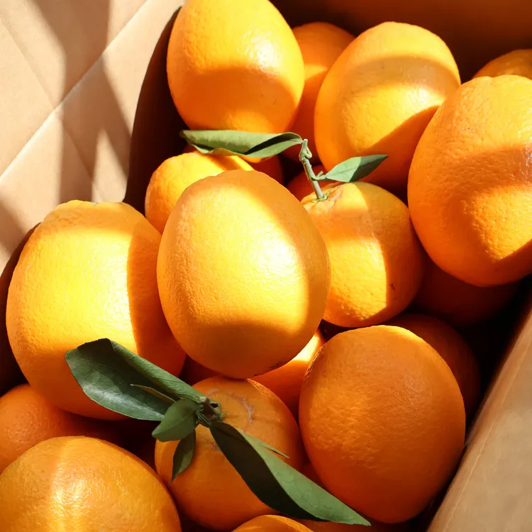 江西赣南脐橙正宗20斤橙子果园直供皮薄多汁现摘亚洲现发应季水果