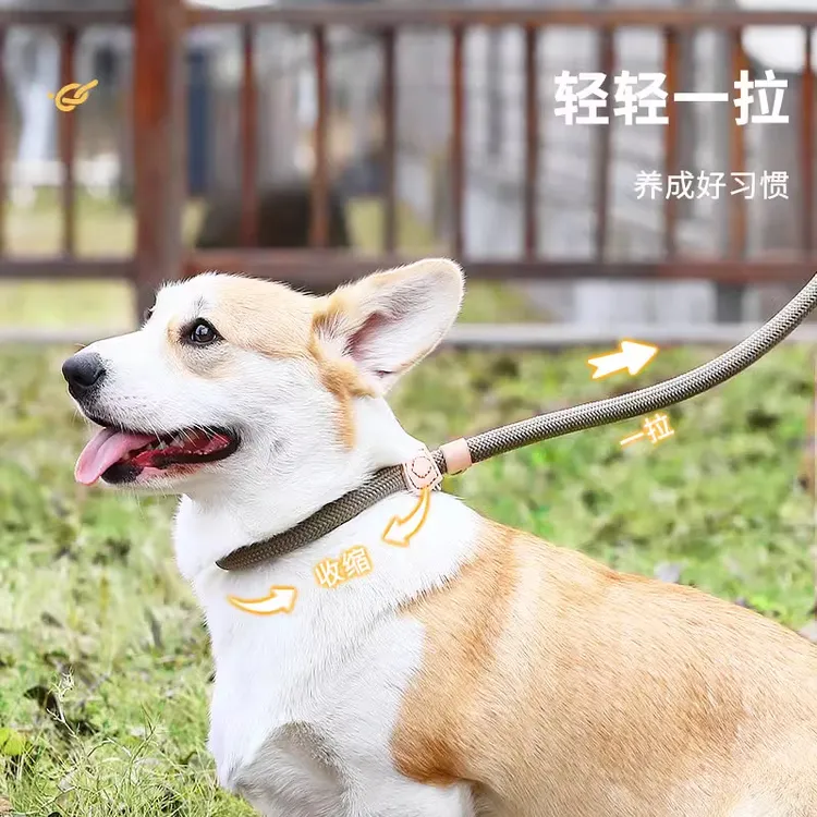 狗狗牵引绳P链项圈金毛中型小型犬狗链子防挣脱防爆冲柯基遛狗绳