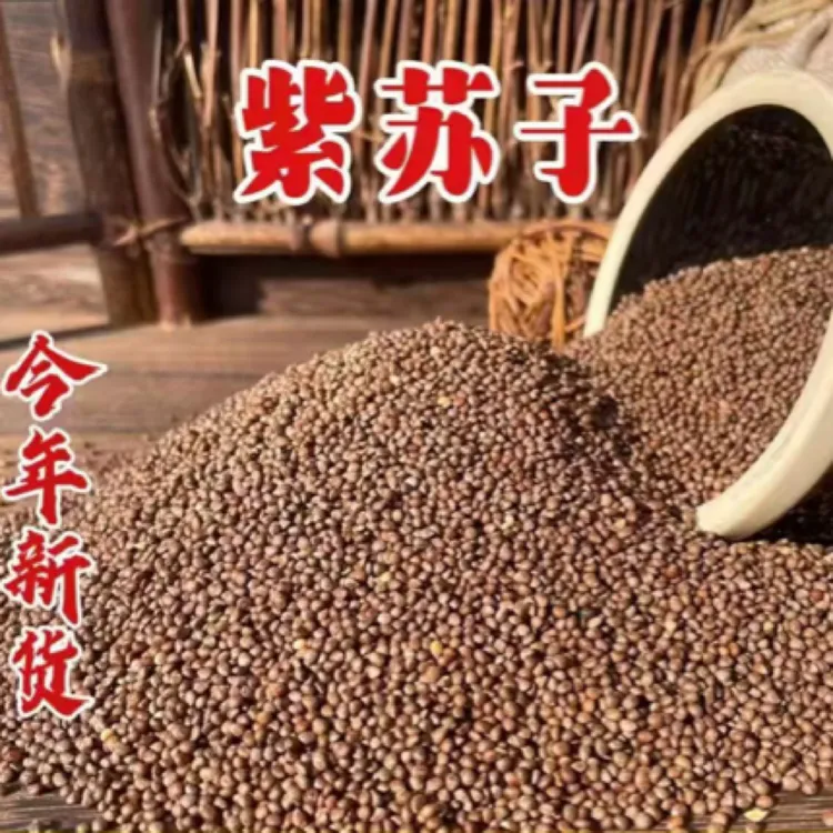 25年精品大粒紫苏子