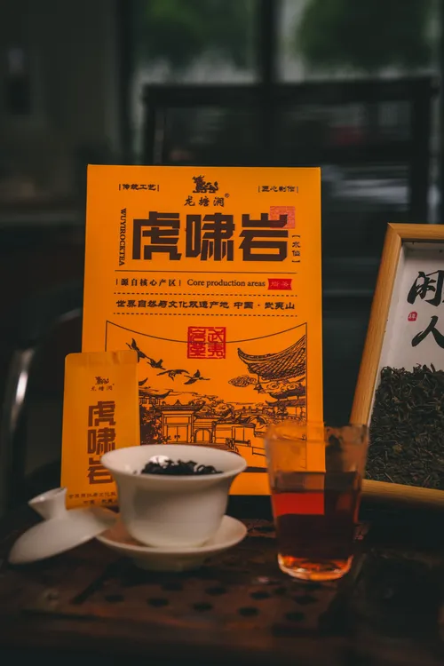 马头岩肉桂乌龙茶武夷岩茶花果香茶叶