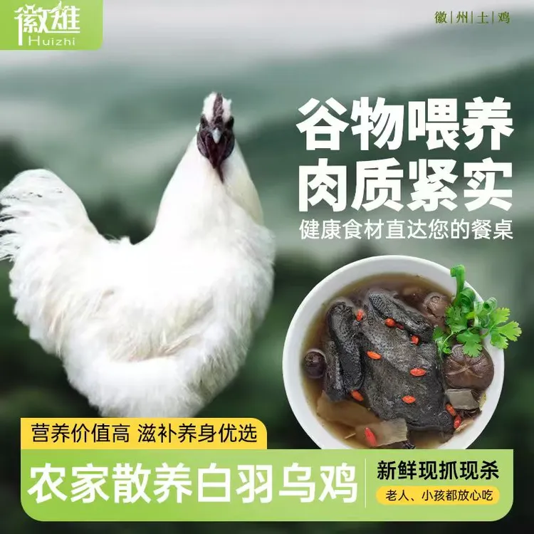 【徽雉】散养白羽乌鸡900g*3只  农家散养土乌鸡煲汤炖汤高品质营养