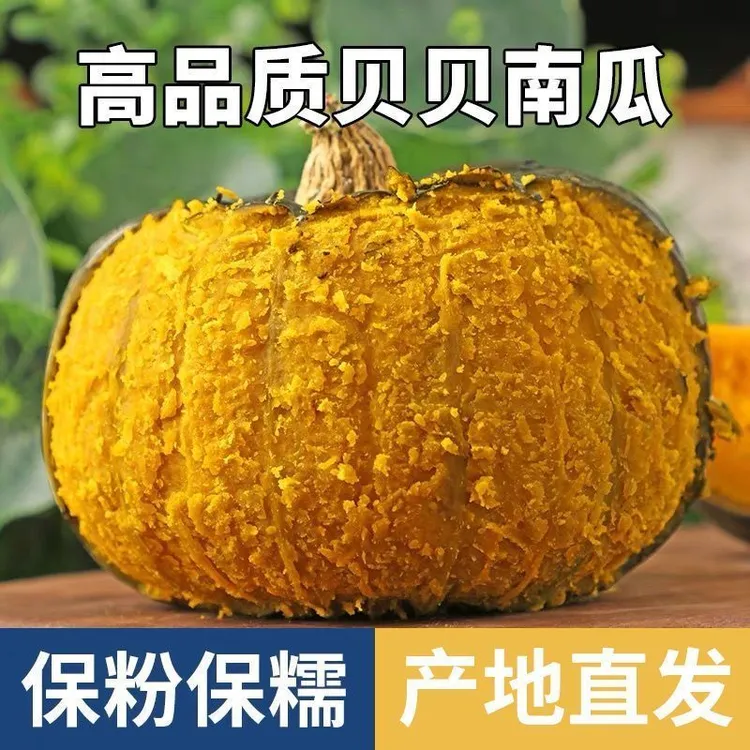 贝贝南瓜正宗板栗味小南瓜新鲜现摘婴儿粉糯粉香甜糯现摘