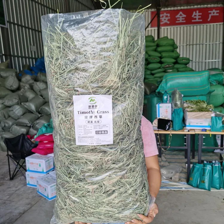 25年特价晒干干草嫩绿超值大包装兔草多叶兔粮荷兰猪烘干北提干草
