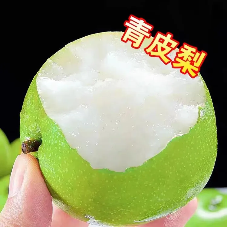 【今年新梨】砀山青皮蜜梨酥脆皇冠梨无渣爽口雪梨好甜新鲜水果无渣