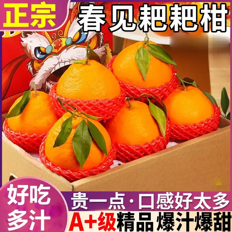 正宗四川春见耙耙柑丑橘手剥柑橘酸甜多汁粑粑柑新鲜水果现摘现发