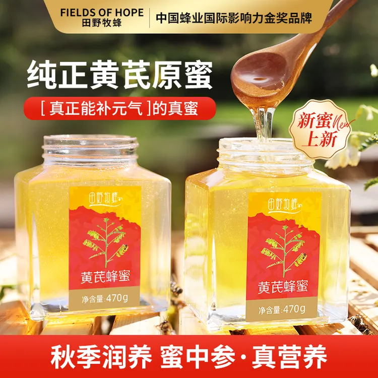 秋养滋补【蜜中参】黄芪蜂蜜田野牧蜂 原生态天然新蜜 中秋送礼纯蜜