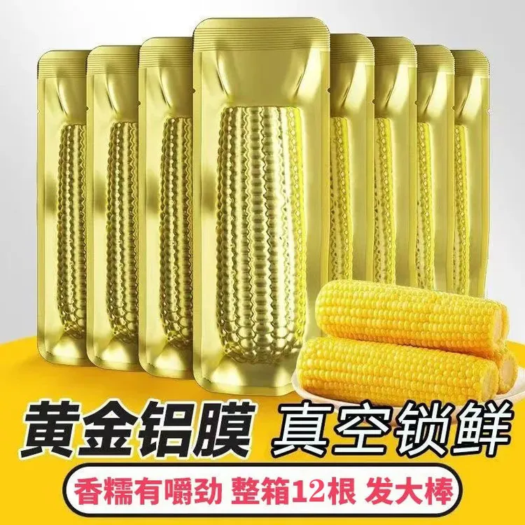 【试吃2根】整箱12根金铝箔东北黄糯玉米真空包装软糯香甜代餐6斤