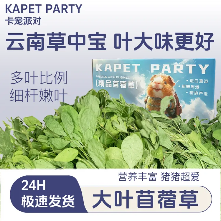 卡宠派对云南大叶苜蓿草豚鼠粮兔粮龙猫草苜宿兔子用品荷兰猪用品