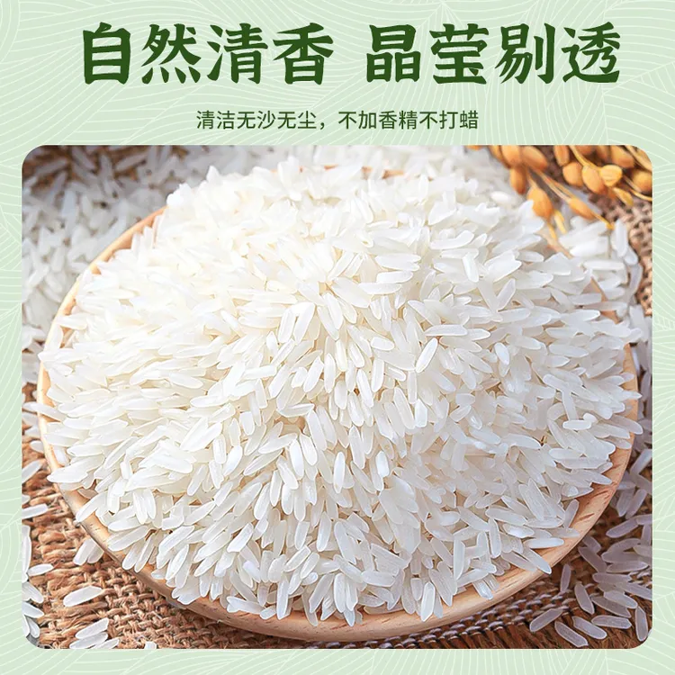 【25年新米】中晚稻长粒香米南方农家软硬适中全家爱吃的大米籼米