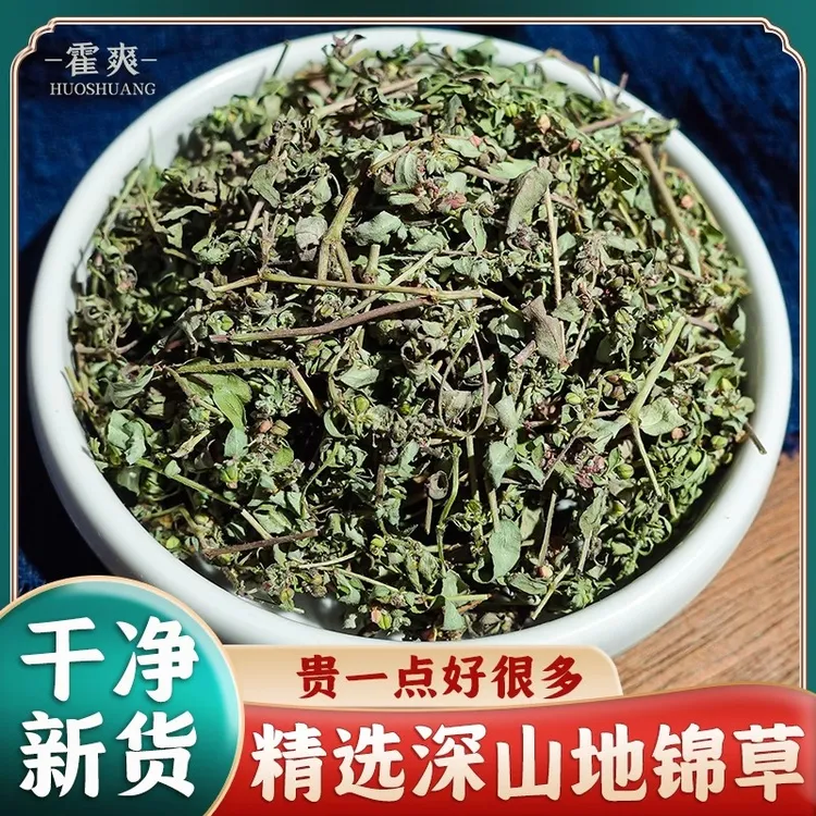 深山地锦草新货精选斑地锦草奶汁浆草泡水煮水另售茵陈白蒿