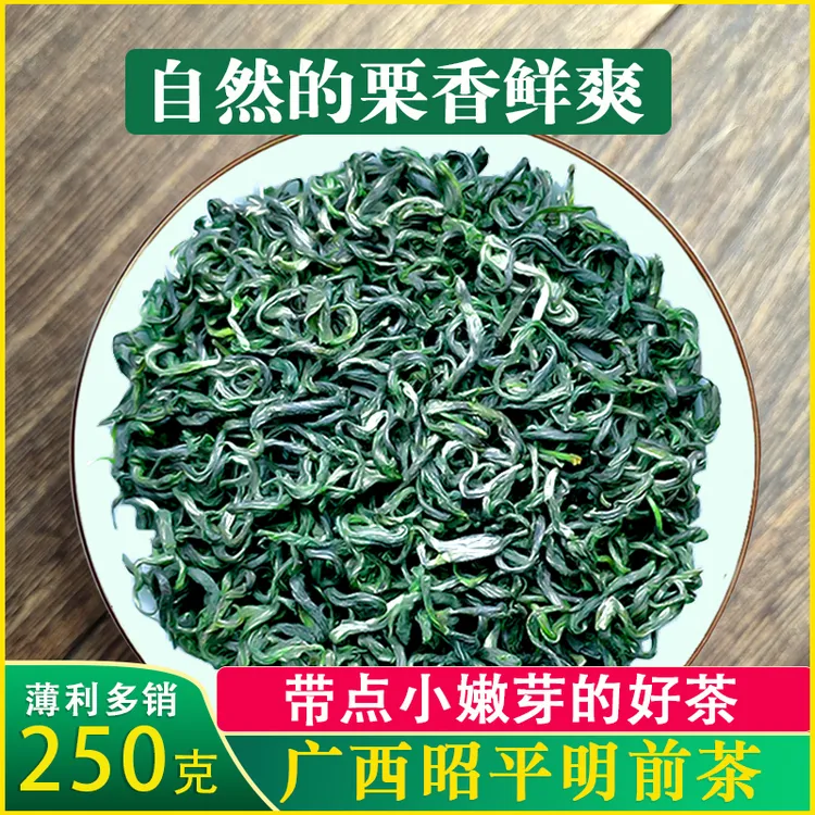 2025新茶浓茶栗香浓香广西贺州昭平绿茶早春茶明前茶散装回甘茶