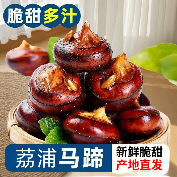 荔浦马蹄广西特产自种荸荠地栗现挖水果脆甜多汁地梨蔬菜应季水果