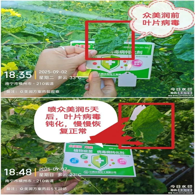 众美润病毒病防治剂