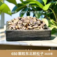 2025年新货东北大颗粒生松子  新货松香味十足  鲜！