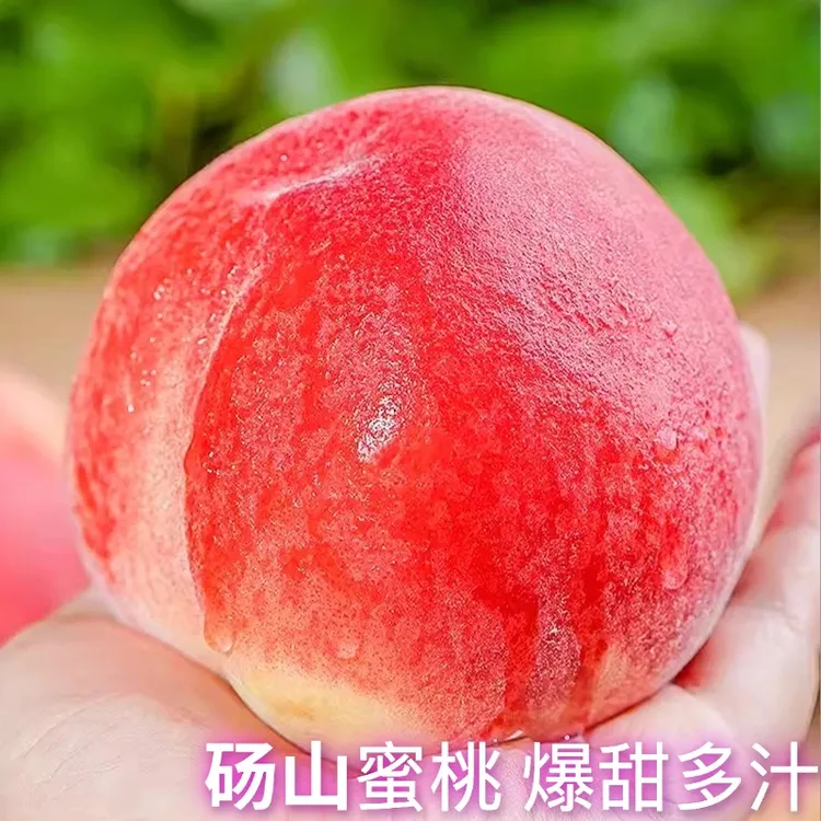 【顺丰包邮】正宗脆软两吃水蜜桃新鲜应季采摘水果产地直发坏果包赔