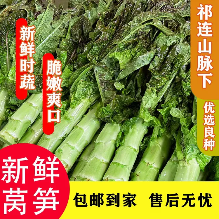 甘肃天祝高原红笋莴笋应季蔬菜现挖现发整箱包邮