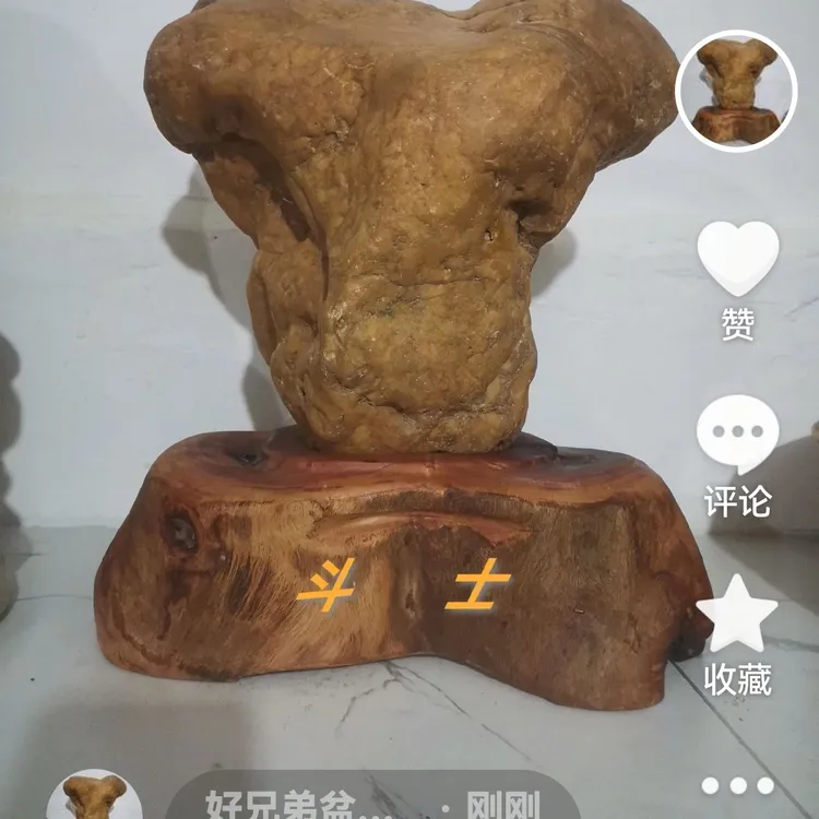 奇石，抽象牛头，取名斗士，高38，宽30，约重20斤左右