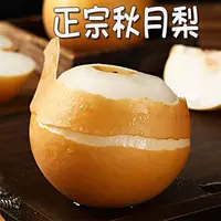 正宗山东真秋月梨新鲜水果冰糖梨子礼盒应季脆甜细腻现摘产地直发