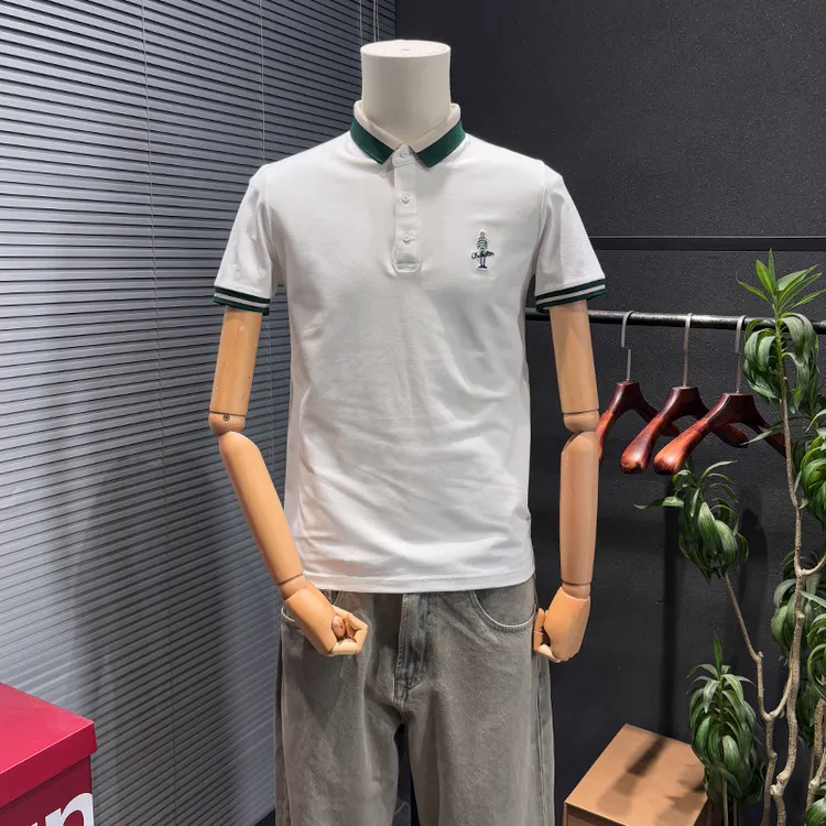 夏季新款短袖POLO衫男2025夏季新款翻领T恤简约刺绣百搭个性小衫