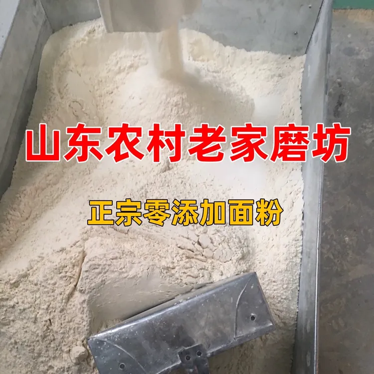 山东农家自磨小麦面粉0无添加白面粉10斤家用新国标5斤全麦面粉