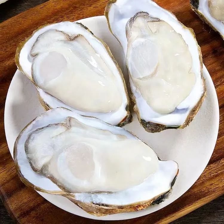 海洋牧场｜大号5+乳山生蚝鲜活牡蛎拍10个送2个到手12个总净重3KG