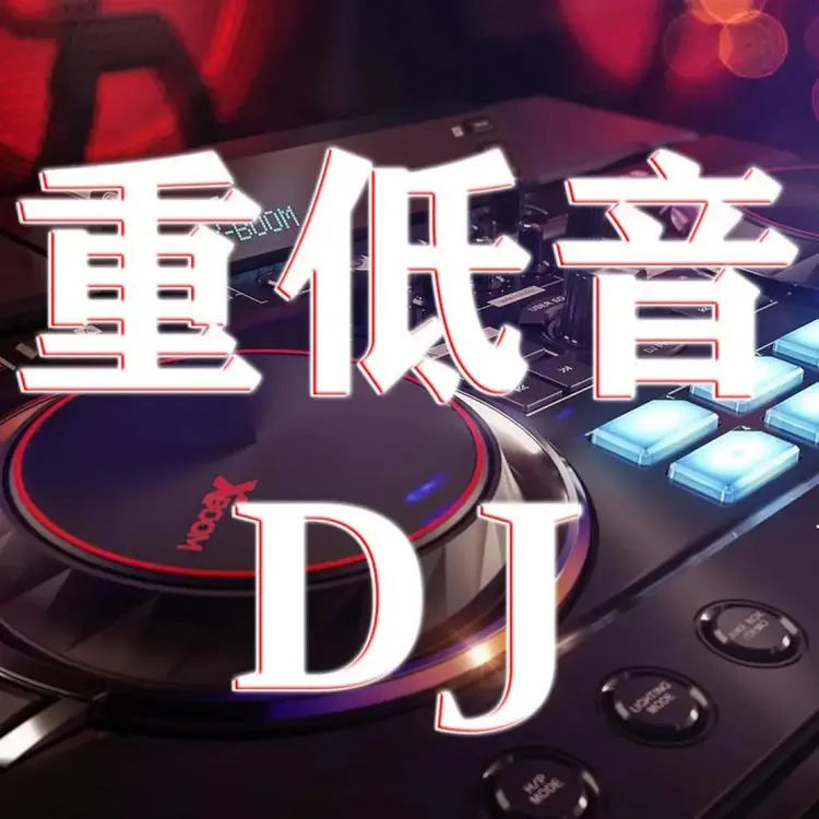 重低音DJ节奏-全DJ-[2025新款]商品图