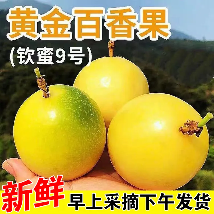 当季水果 百香果孕妇水果香甜饱满多汁