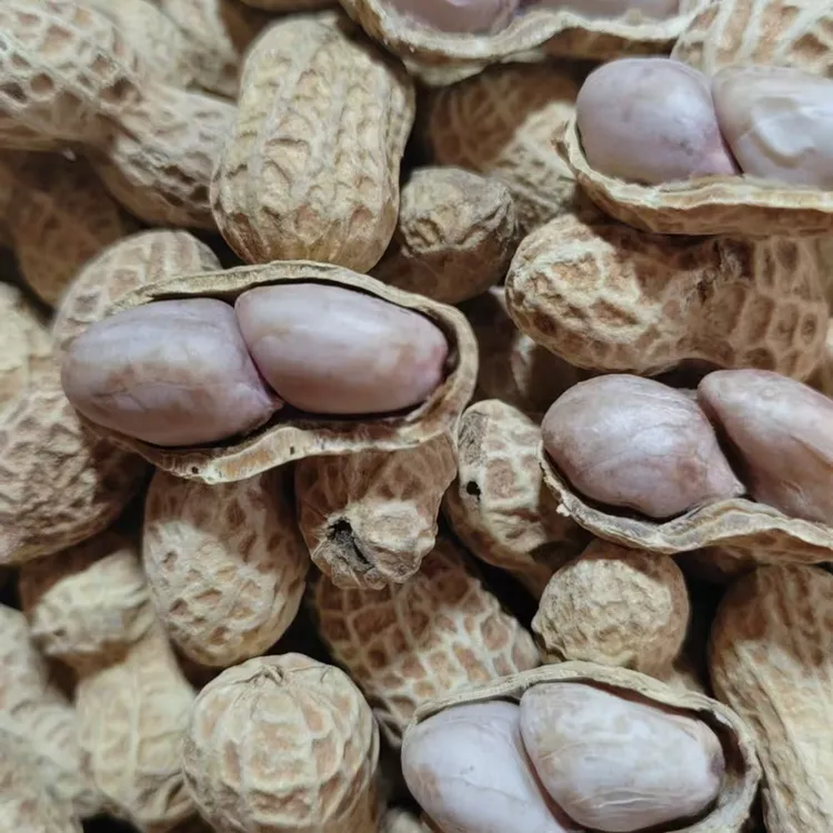 福建特产水煮微烤花生咸干花生即食休闲零食500g