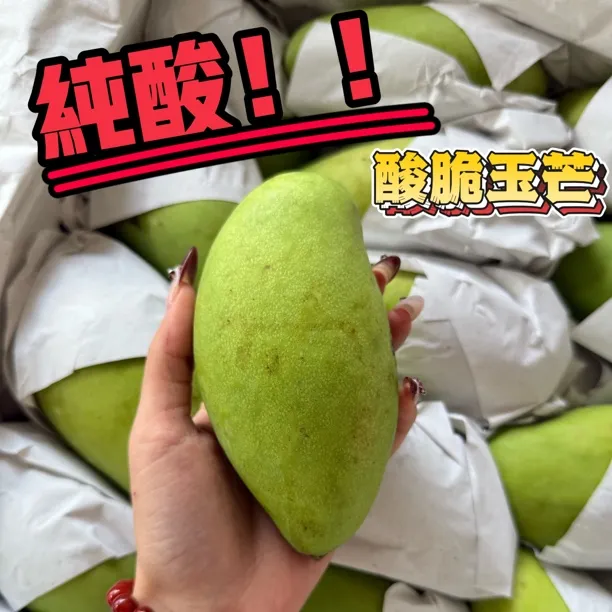 酸脆青芒果越南玉芒新品纯酸广西芒果青芒果花新鲜芒果胖崽芒果