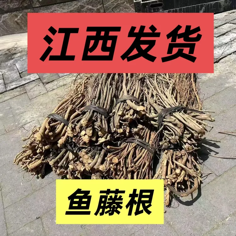新鲜于藤根 渔藤根 鱼藤（根）一整箱批发鱼藤精