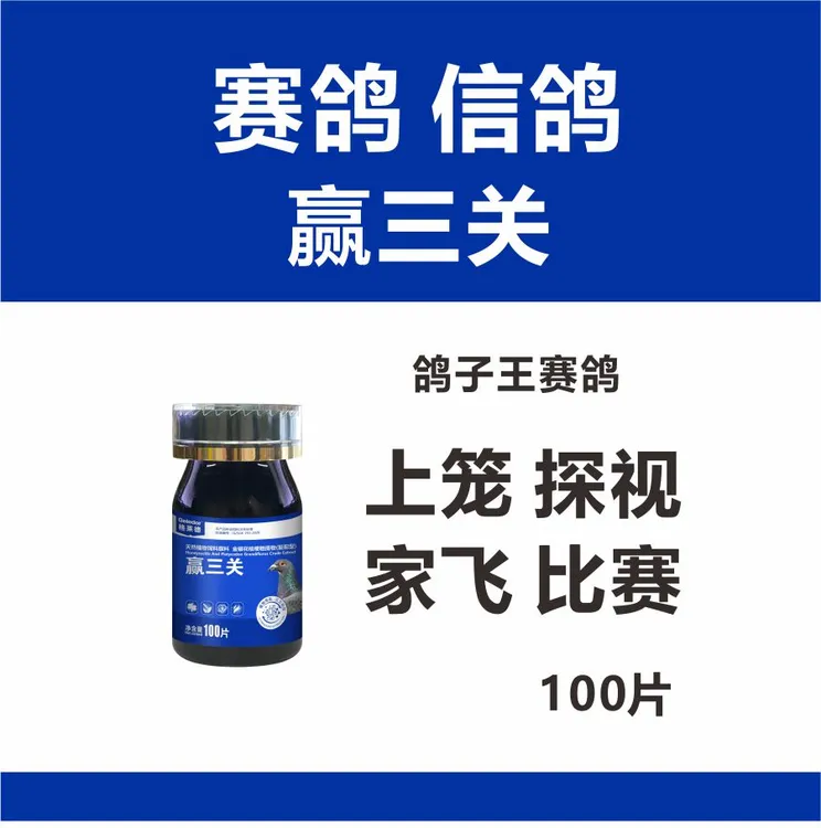 格莱德赛鸽赢三关鸽子赛鸽斗鸡用品
