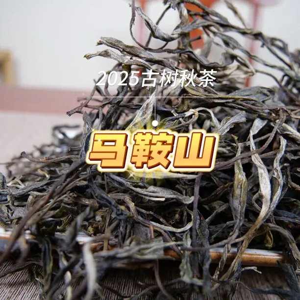 2025年秋茶 镇康马鞍山古树纯料100克普洱生散茶