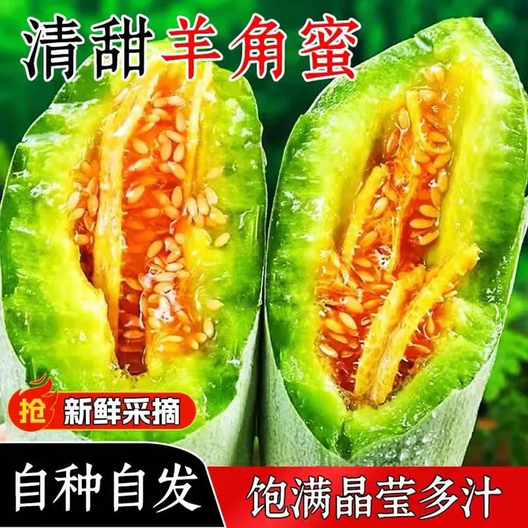山东头茬羊角蜜甜瓜新鲜当季脆甜多汁水果包邮