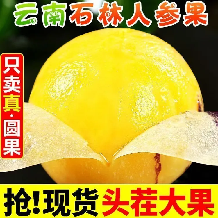 【正宗】石林人参果水果树熟应季低糖孕妇果皮薄肉厚香味十足人心果