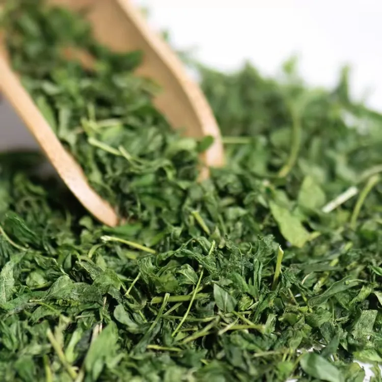 鸡骨草广西野生鸡骨草叶250g干藤高品质新鲜采摘精选鸡骨草叶子