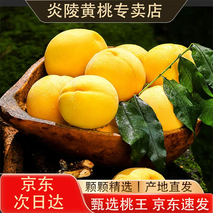 【5斤装】正宗炎陵黄桃蜜桃锦绣黄桃新鲜应季水果现摘现发次日达