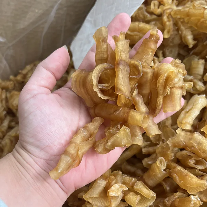 110头红鳘胶 凤尾鱼胶 淡干 煲汤炖甜品 250克/500克