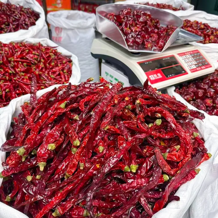 干辣椒搭配灯笼椒二荆条子弹头石柱红满天星炒菜红油中辣特辣爆香