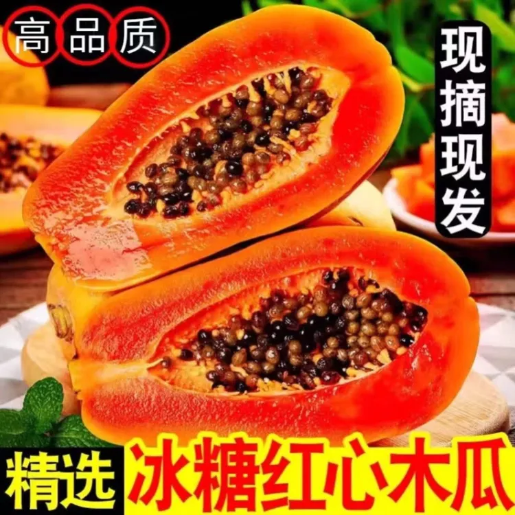 [坏果包赔] 徐闻红心冰糖木瓜 纯甜软糯香甜 产地直发 5斤 8斤