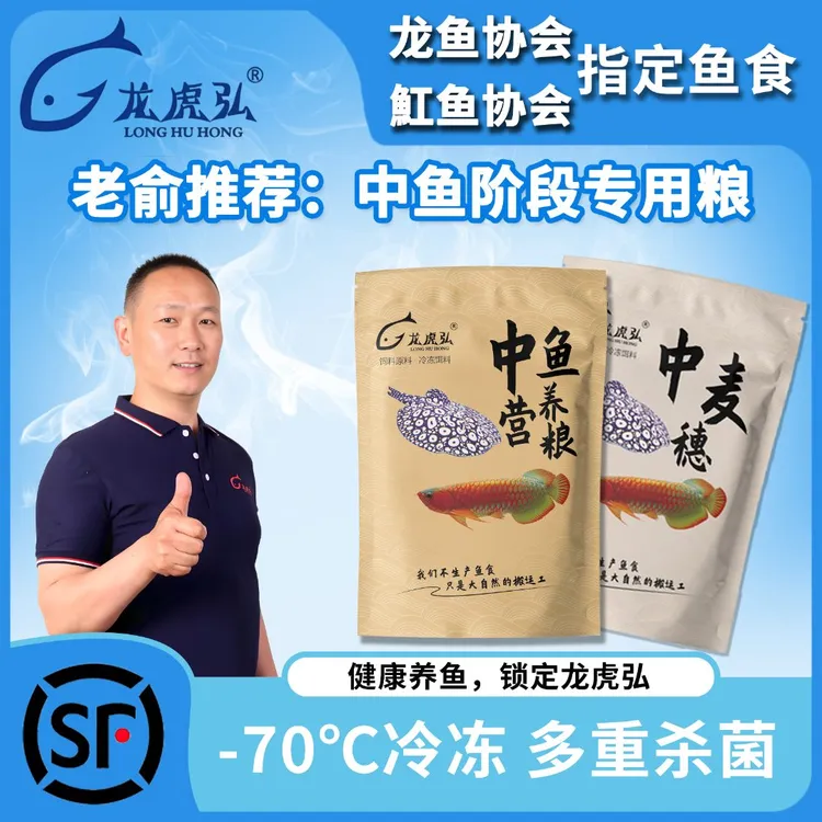 龙虎弘【中鱼阶段组合装套餐】龙鱼饲料冷冻鱼食麦穗小泥鳅河虾鱼缸