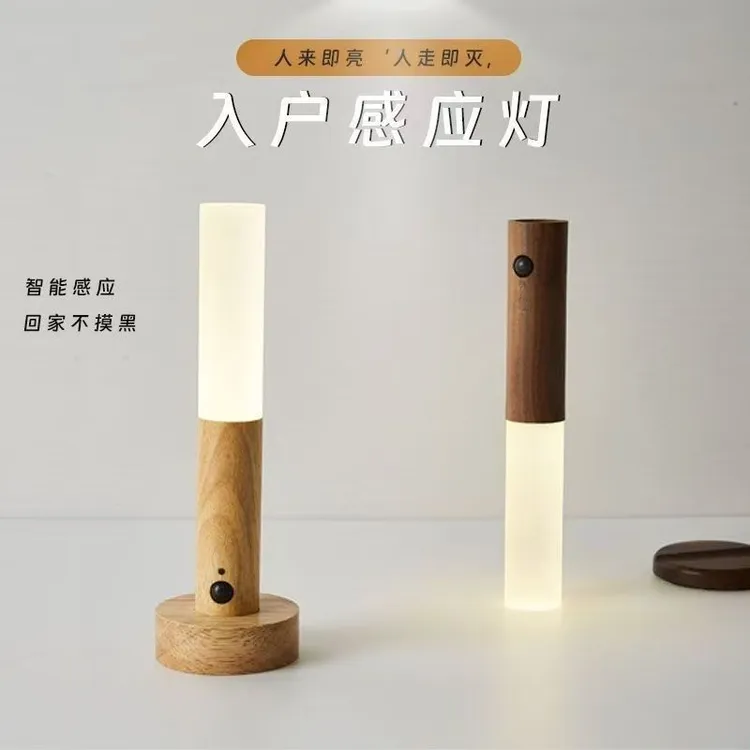 高级入户门感应灯人来即亮智能感应小夜灯楼道玄关灯充电床头壁灯