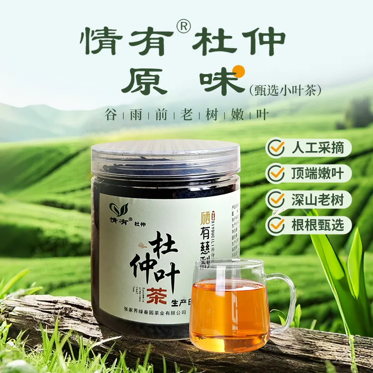 情有杜仲茶张家界慈利一级老树嫩叶绿原酸富硒原叶养生茶谷雨新茶