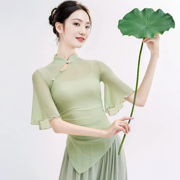 潮走古典舞新款上衣飘逸纱衣身韵练功服民族舞中国舞仙气网纱短袖