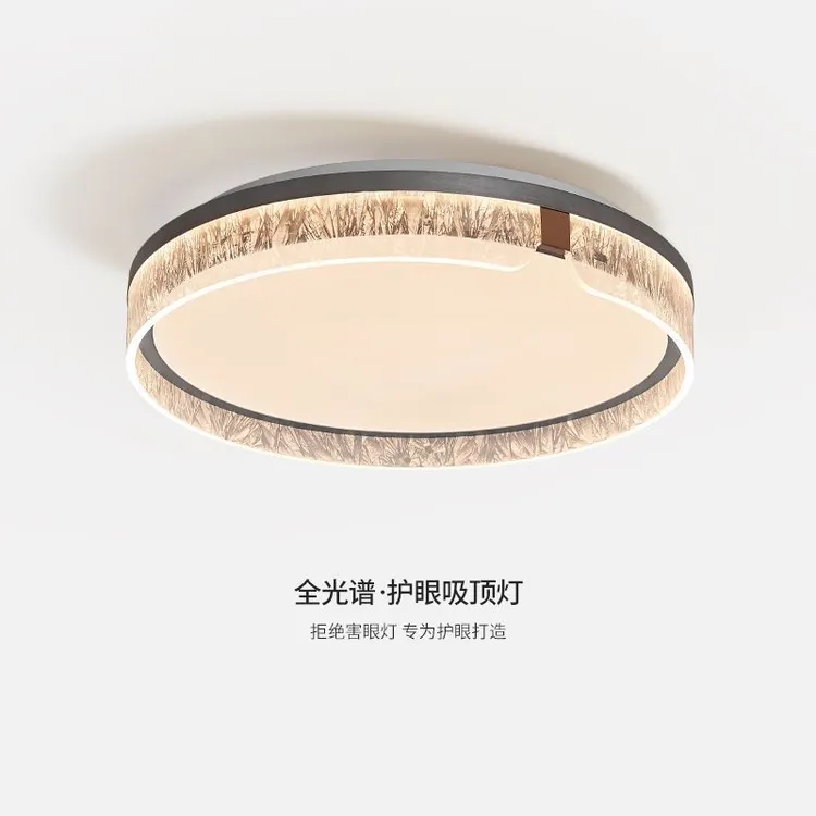 卧室吸顶灯现代简约2025新款意式极简轻奢高级感客厅主卧房间灯具