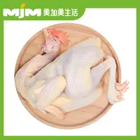 【半只】180天清远鸡（杀好约1斤±50g/份）