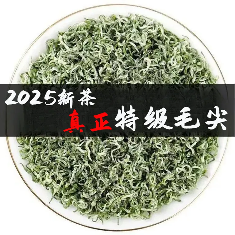 贵州毛尖2025新茶明前茶叶手工绿茶滋味毛尖都匀茶正宗浓香型嫩芽