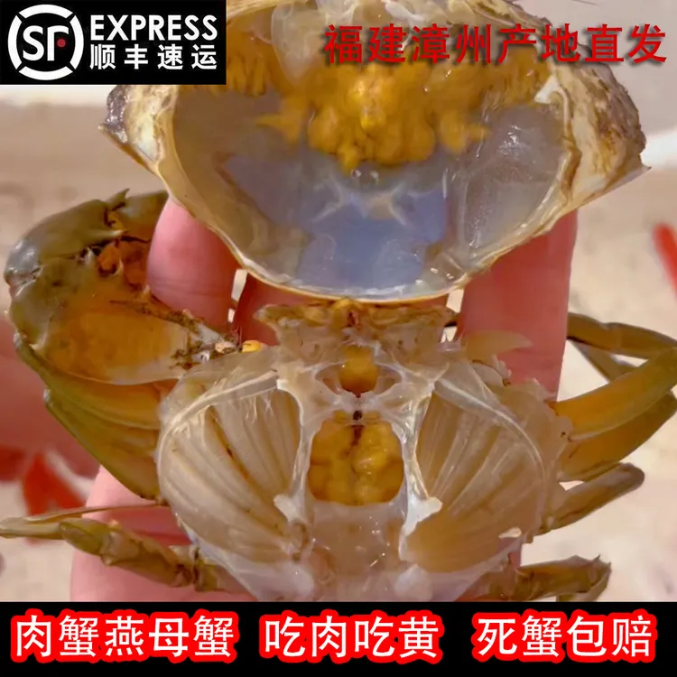 【活蟹】公母混搭青蟹肉蟹燕母腌仔蟹处子小娘蟹不能放冰箱不能放水